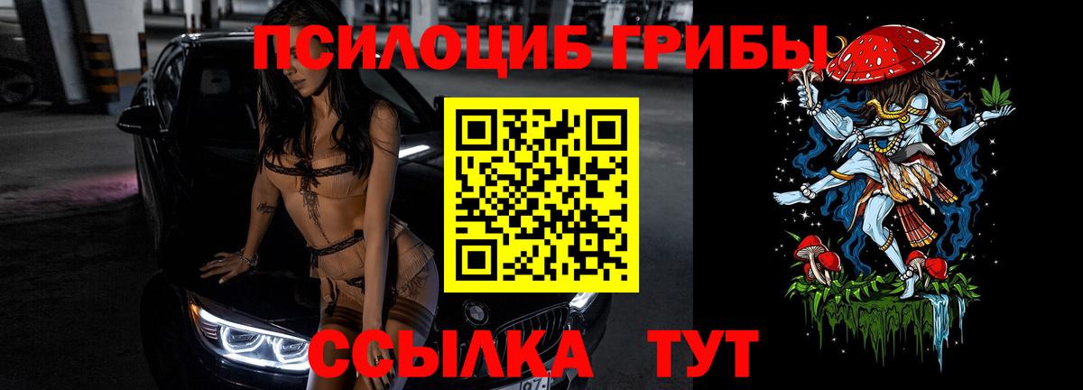 Псилоцибиновые грибы мицелий Лесосибирск