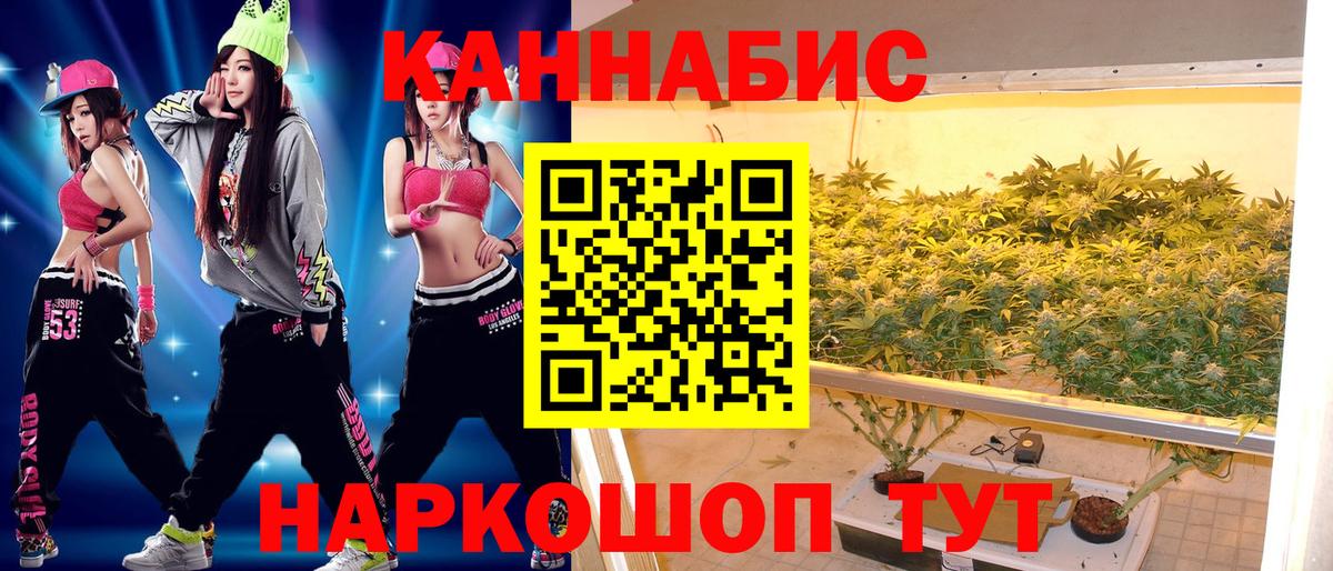 Конопля сатива Лесосибирск